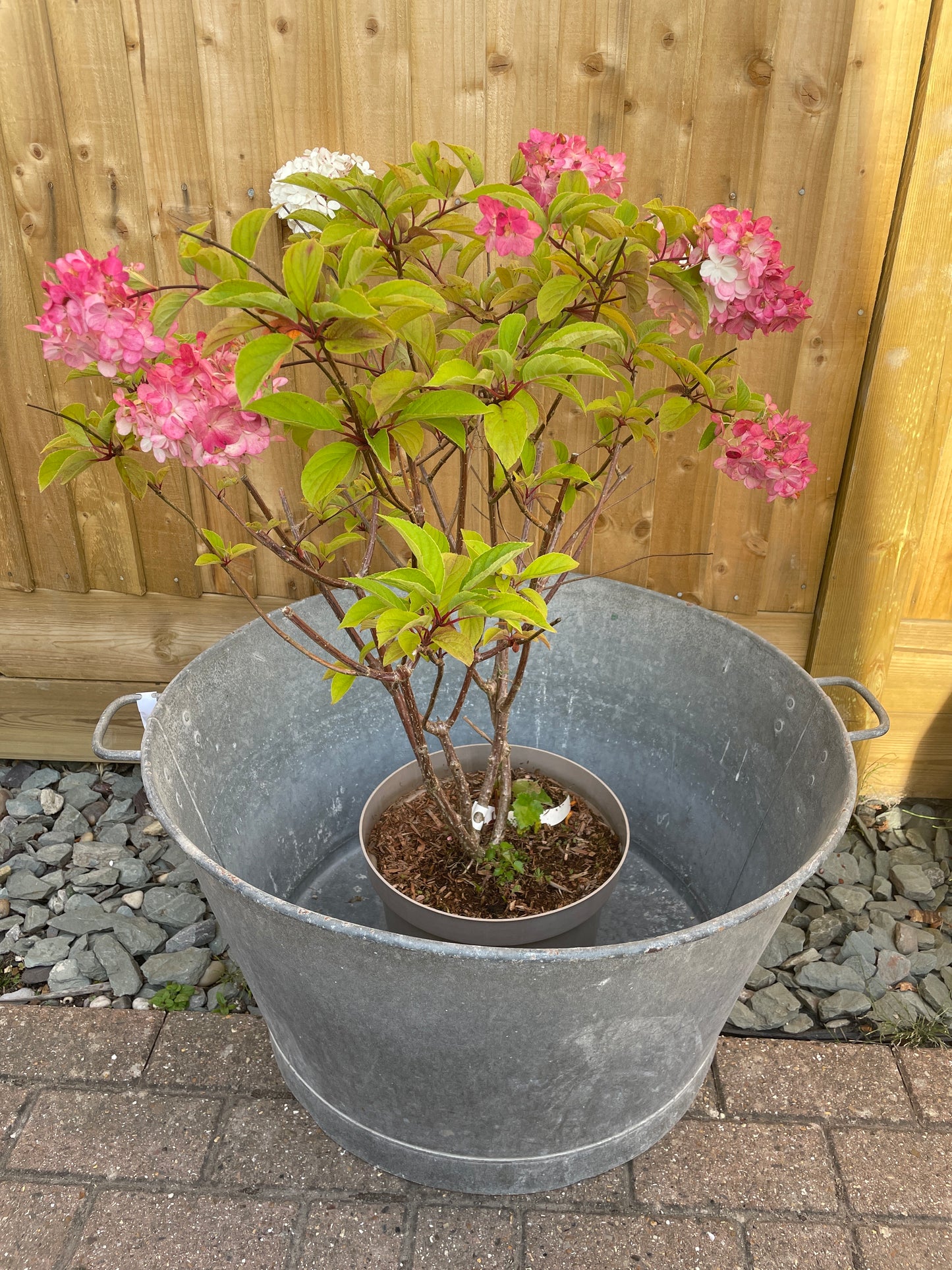 French round galvanised tub garden planter 67cm.