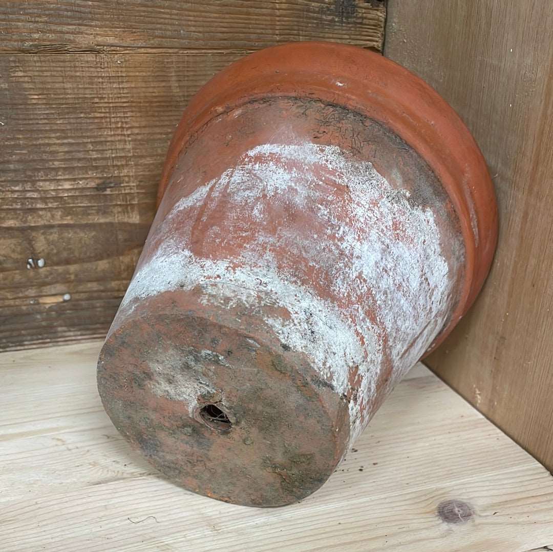 Vintage Sankey terracotta pot D 18cm H 16cm with wide rim.