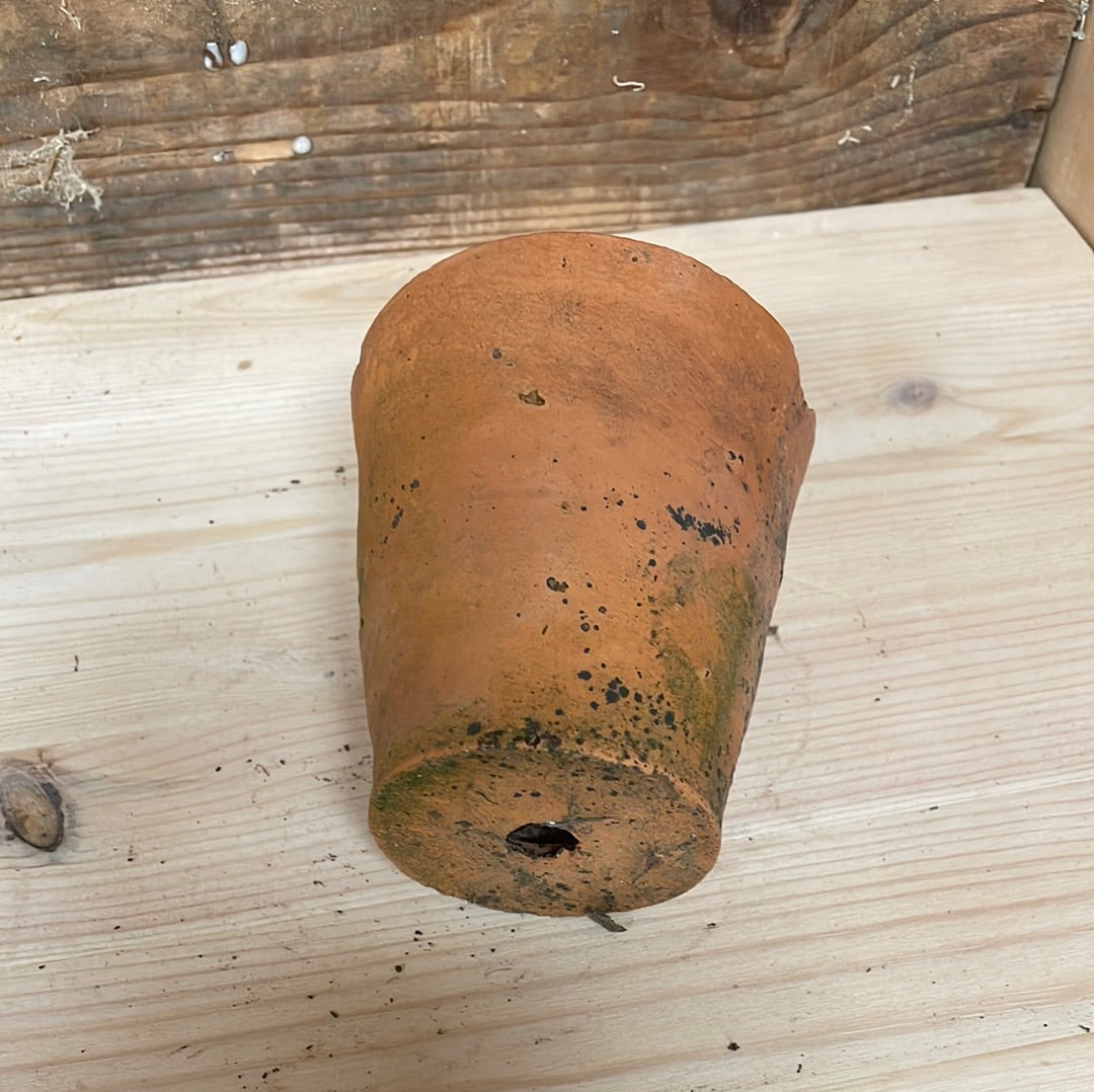 Vintage small terracotta plant flower seedling pot.
