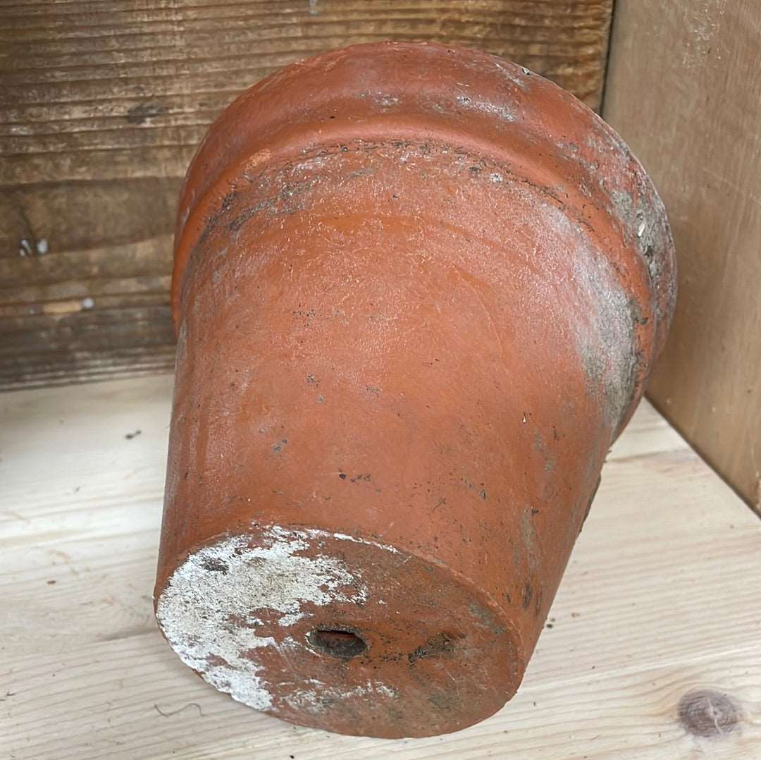 Vintage medium sized terracotta flower plant pot Sankey D 14cm H 12cm with wide rim.