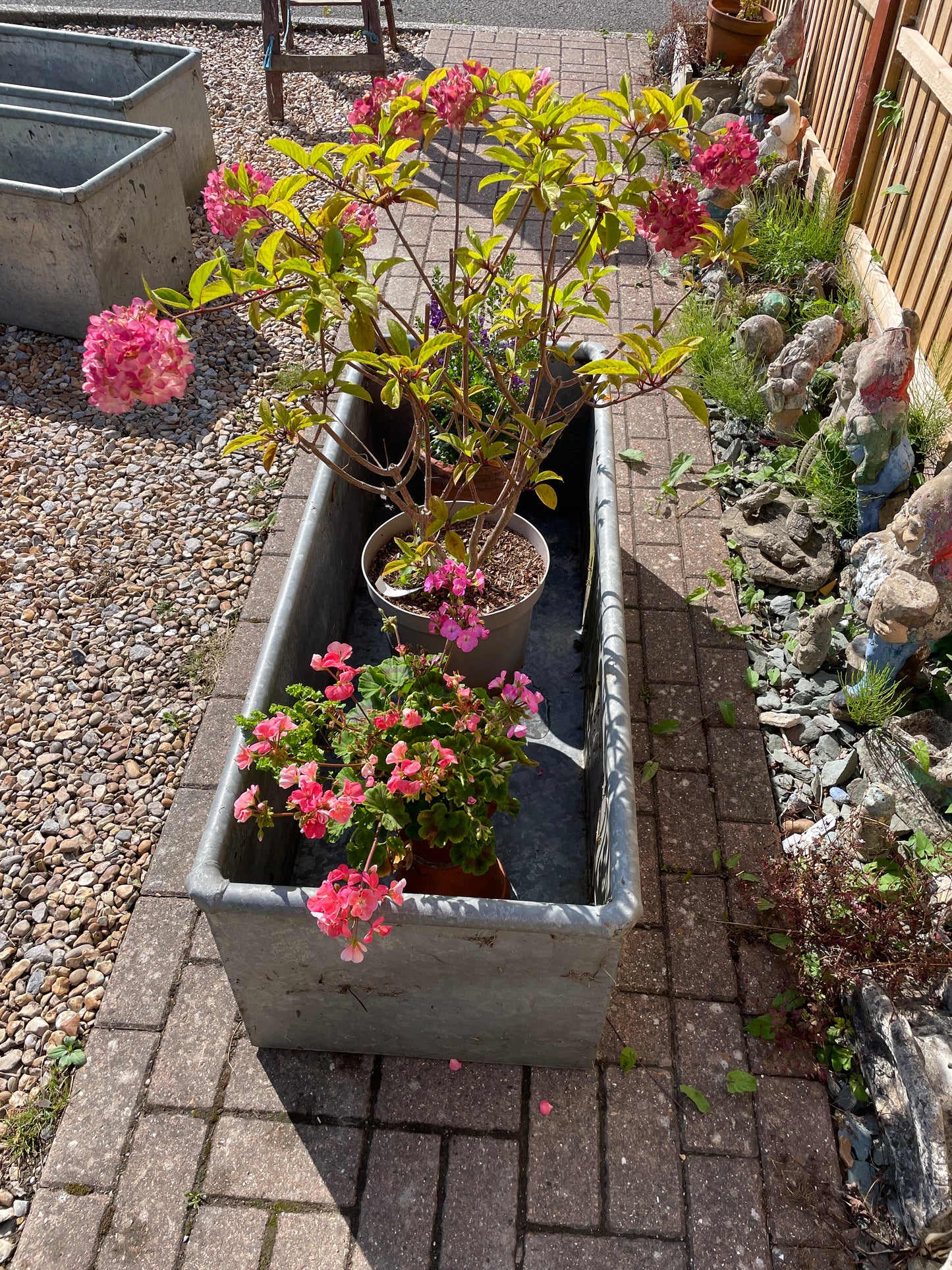 Galvanised water trough planter water feature 4ft.