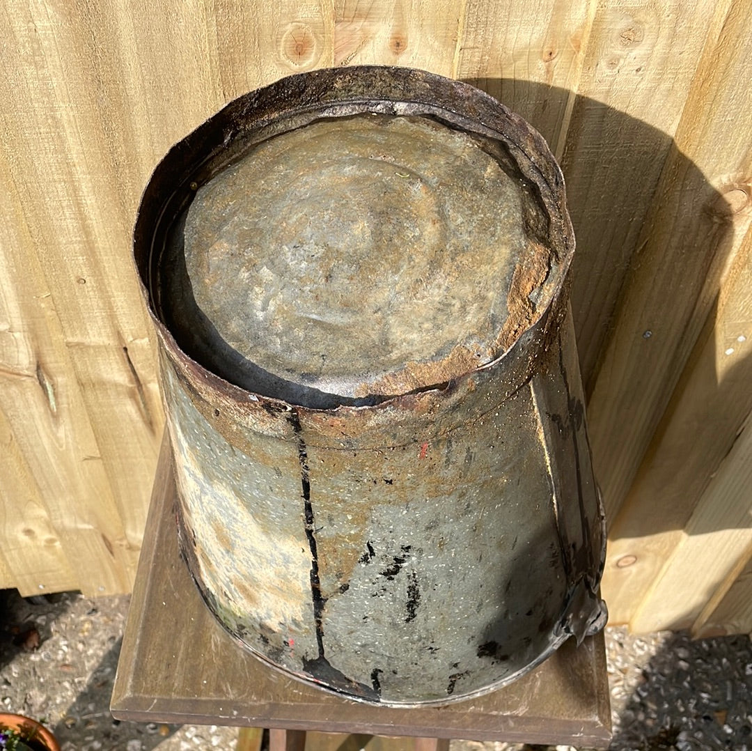Rustic galvanised bucket planter with black paint splashes.