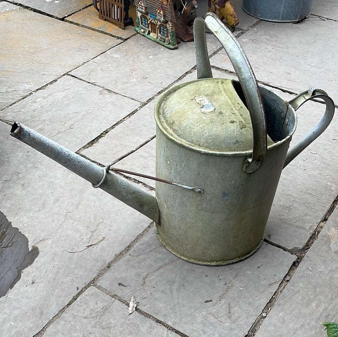 Galvanised watering can 2G decorative planter.