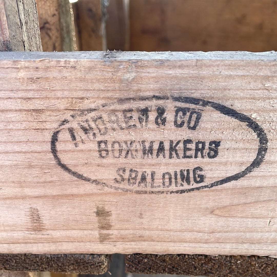 Vintage wooden flower bulb gardeners trays.