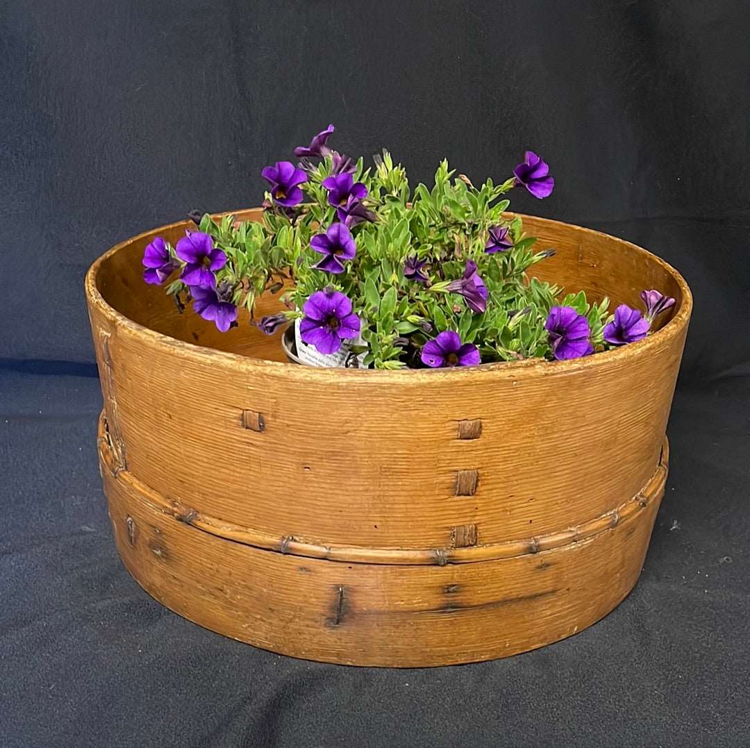 Vintage bent wood flour sieve.