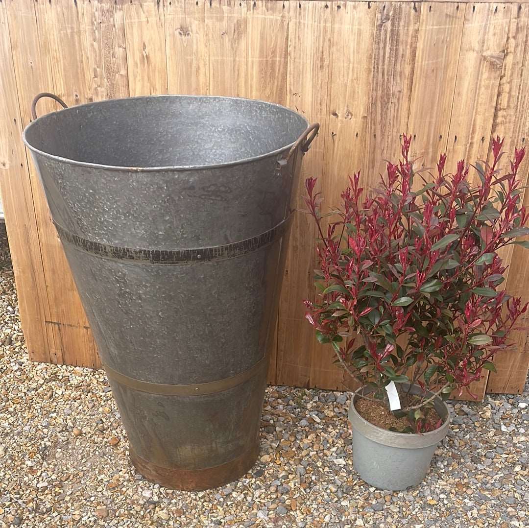Extra large bucket type metal planter tree planting pot.