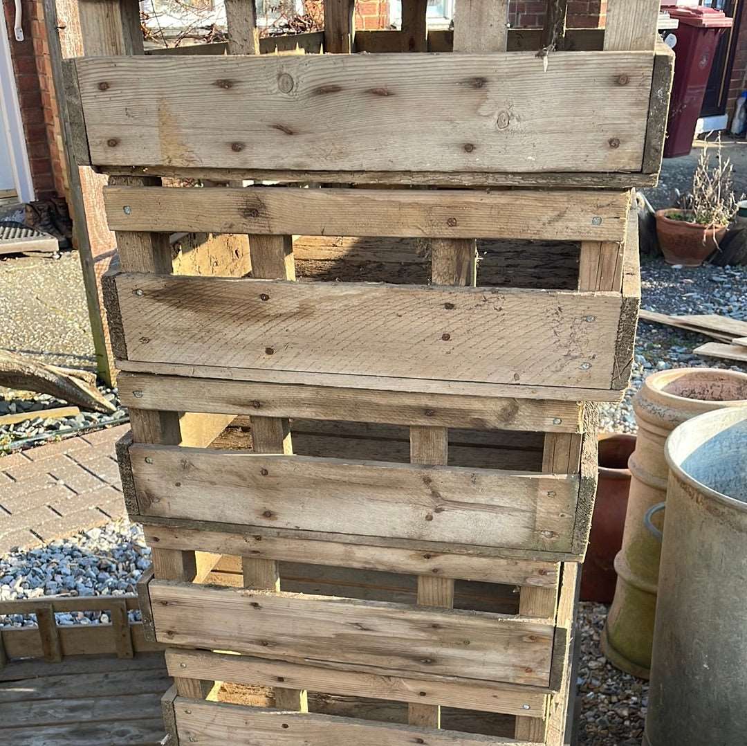 Vintage wooden flower bulb gardeners trays.