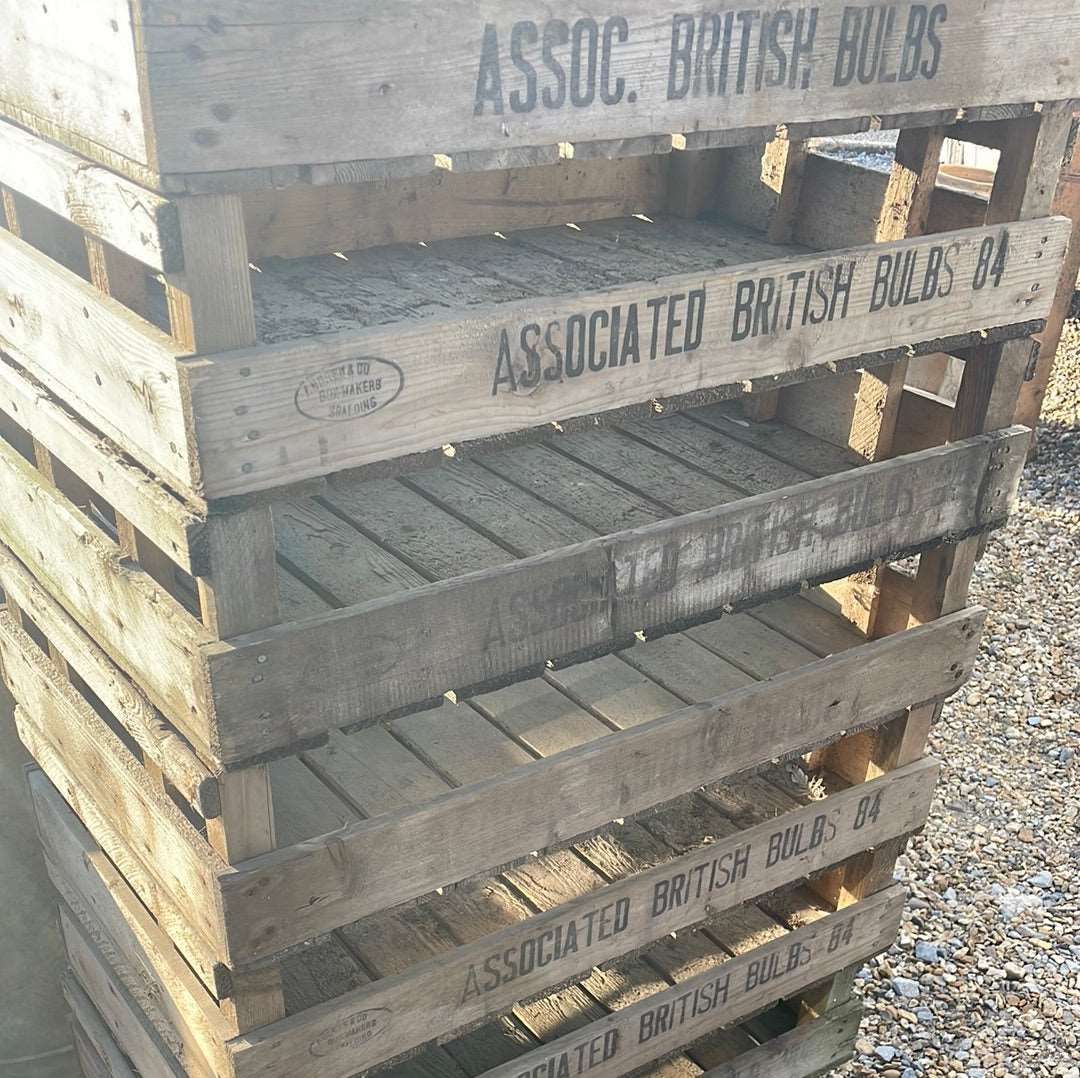 Vintage wooden flower bulb gardeners trays.