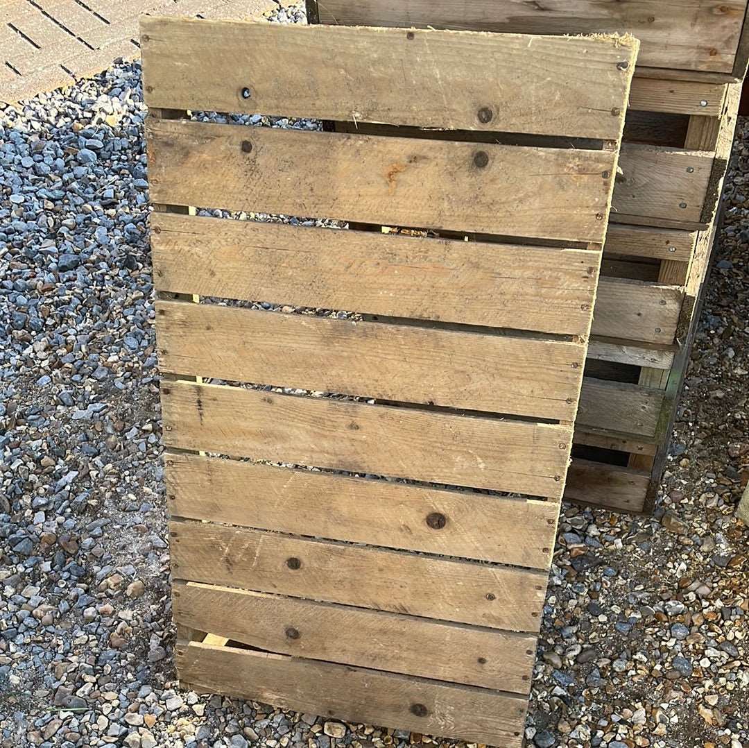 Vintage wooden flower bulb gardeners trays.
