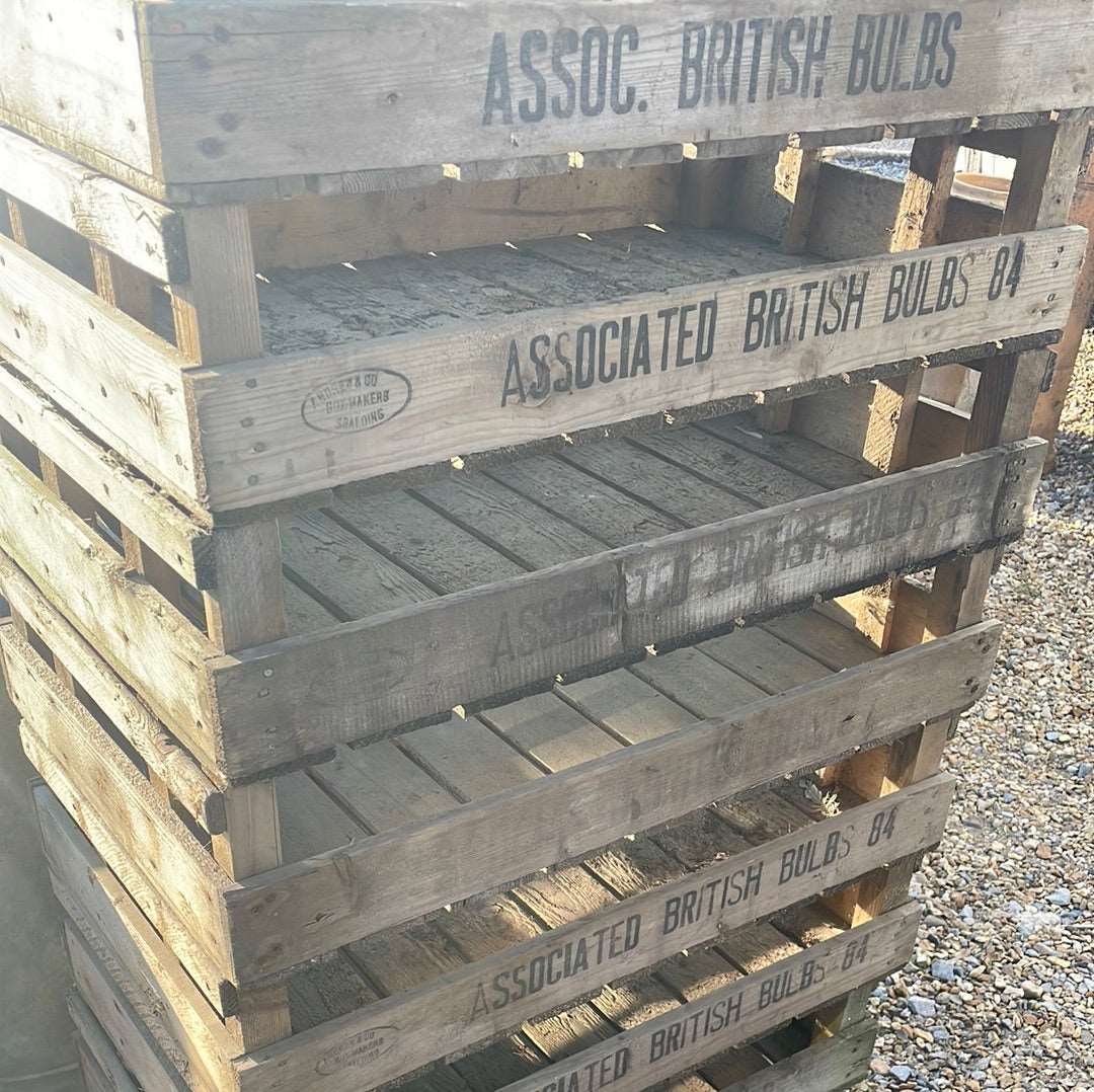 Vintage wooden flower bulb gardeners trays.