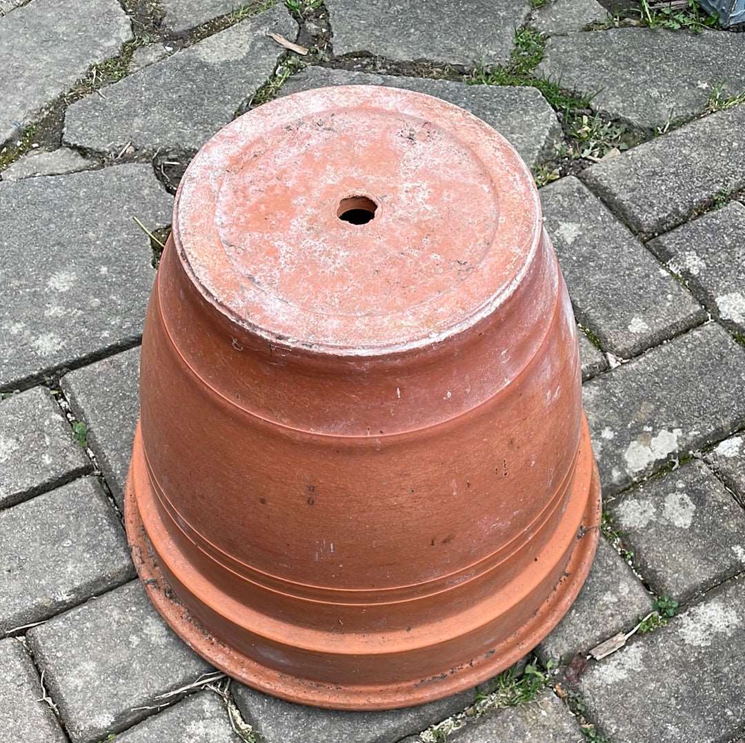 Large terracotta decorative flower pot.