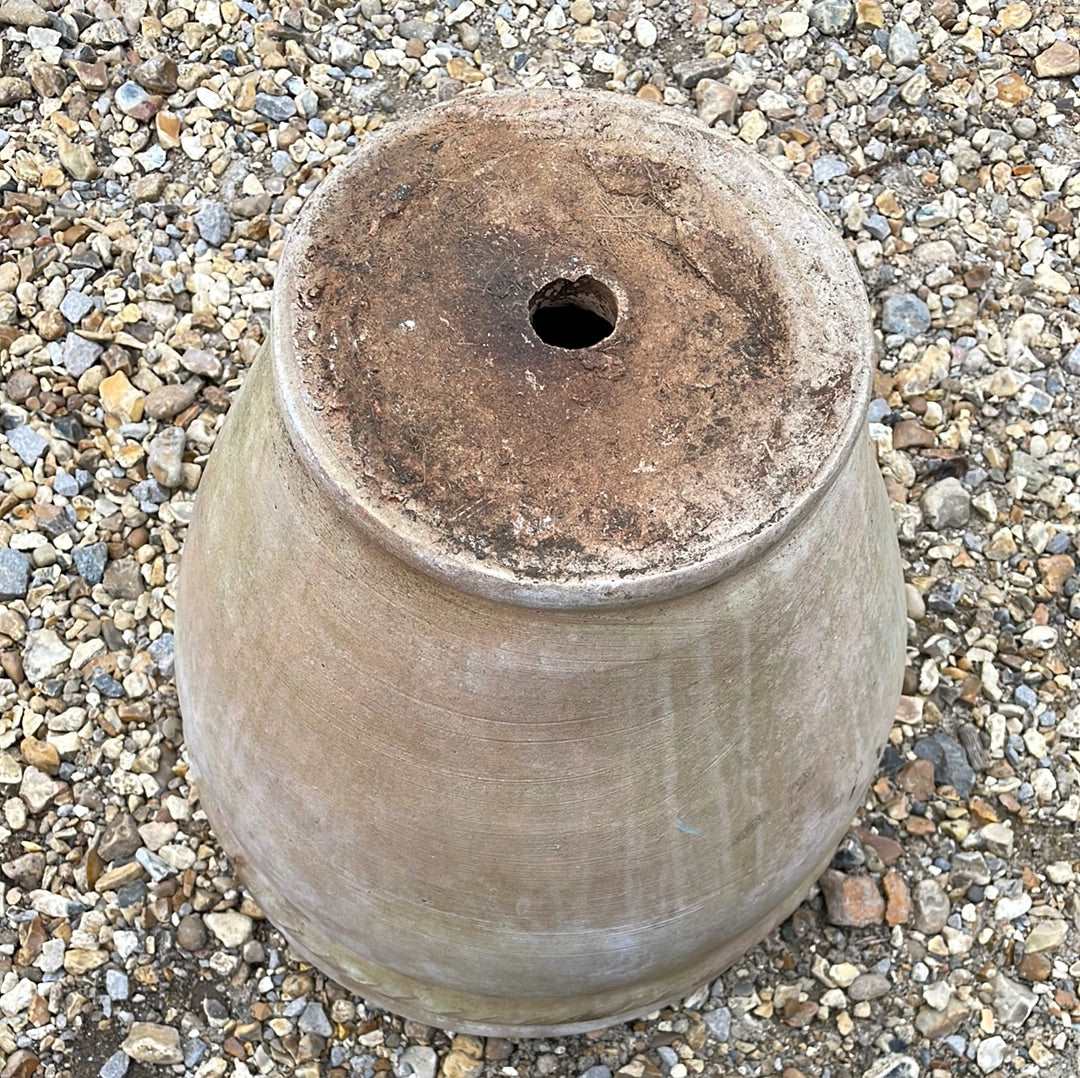 Light coloured terracotta urn plant pot.