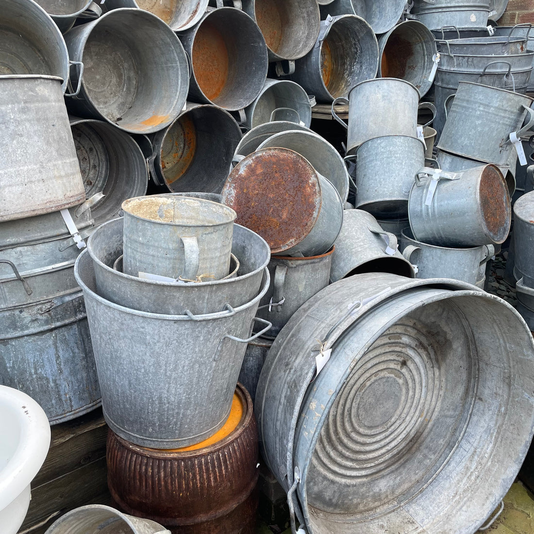 Winter Planting in Galvanised Tubs.