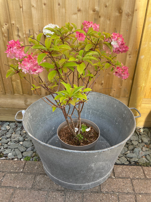 French round galvanised tub garden planter 67cm.