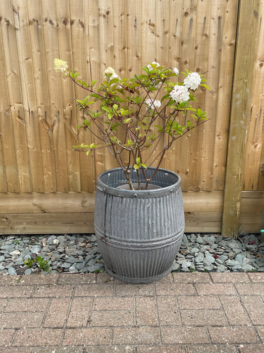 Original Vintage English Galvanised Dolly Tub 'Bowling' Branded Metal Round Planter.