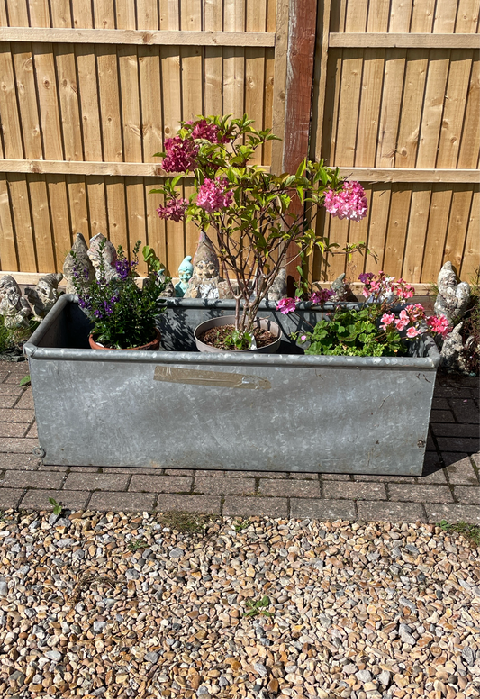 Galvanised water trough planter water feature 4ft.