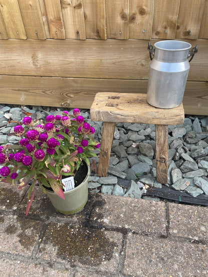 Wooden mini rustic stool bench pot stand side table.
