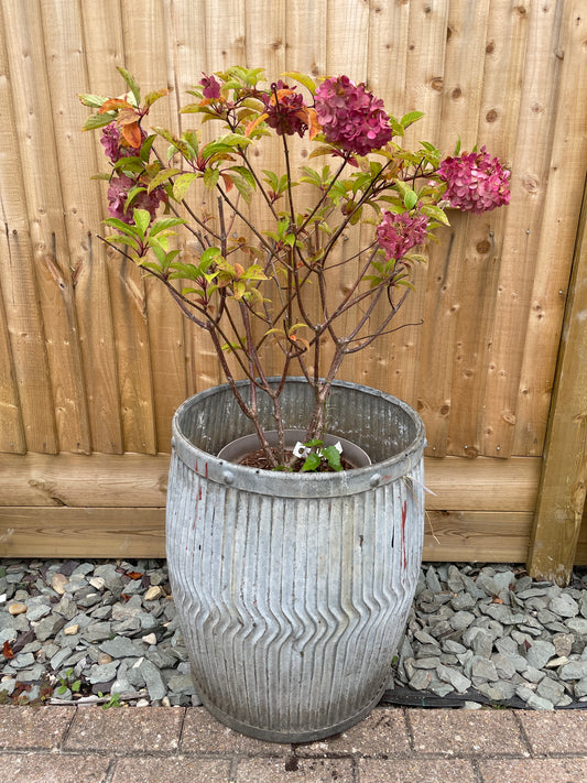Dolly tub vintage original English chevron design galvanised planter.