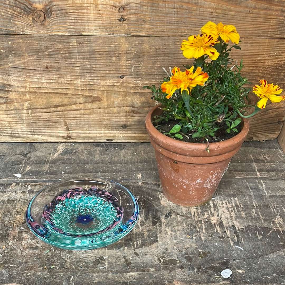 Caithness decorative dish Springtime Flowers.