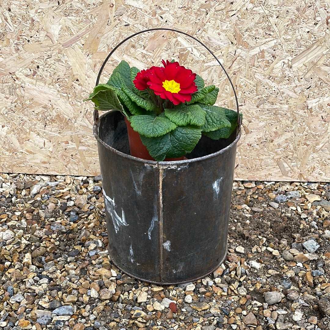 Large galvanised rustic vintage paint kettle.