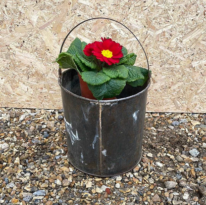 Large galvanised rustic vintage paint kettle.