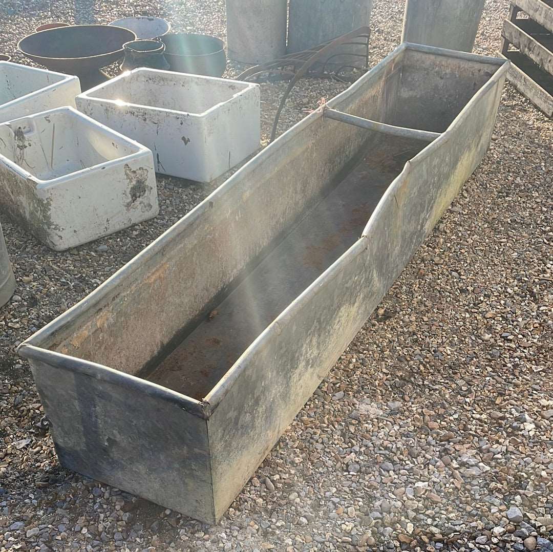 Vintage galvanised rustic water trough planter.