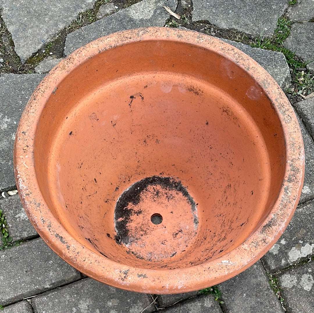 Large terracotta decorative flower pot.