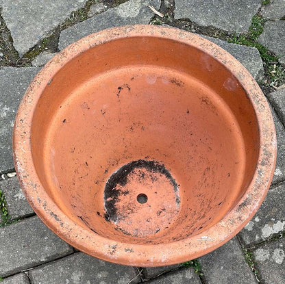Large terracotta decorative flower pot.