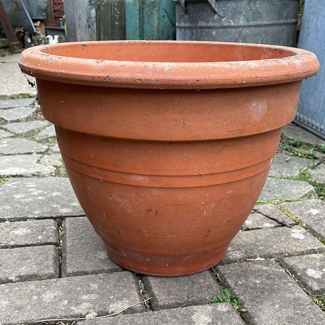 Large terracotta decorative flower pot.