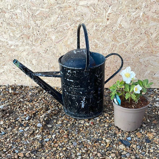 Vintage galvanised watering can, black painted, 2G