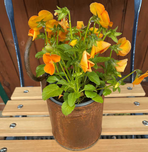 Rustic metal round single pot holder.